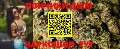 PSILOCYBIN Гусиноозёрск
