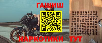стафф Гусев