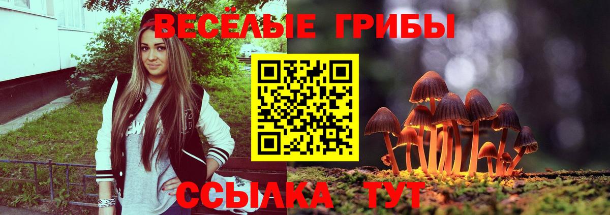 Псилоцибиновые грибы мицелий Кудрово