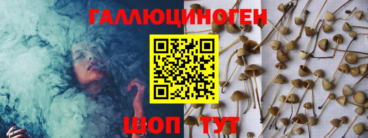 Кудрово  Галлюциногенные грибы Magic Shrooms  Вход с VPN 