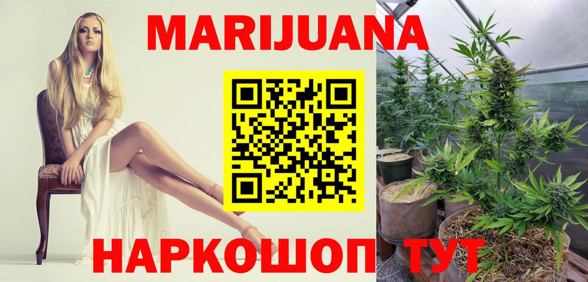 Конопля конопля Кудрово